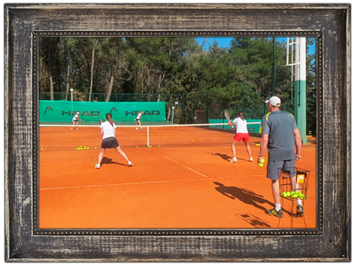 Tenis